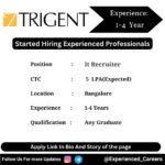 Trigent Software Off-Campus Drive 2024 Hiring Experienced Candidates for It Recruiter